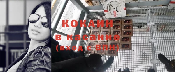 прущие грибы Алексеевка