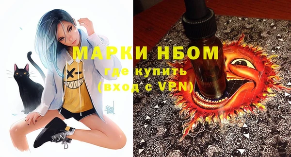 прущие грибы Алексеевка
