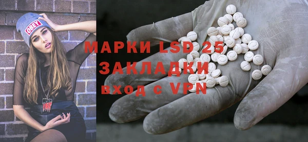 прущие грибы Алексеевка