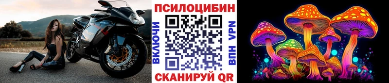 продажа наркотиков  Спасск-Рязанский  Галлюциногенные грибы прущие грибы 